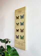 Load image into Gallery viewer, Butterfly Canvas Art Print
