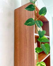 Load image into Gallery viewer, Tall Teak Bookshelf
