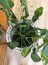 Load image into Gallery viewer, Large Chinoiserie Coy Pot and Stand
