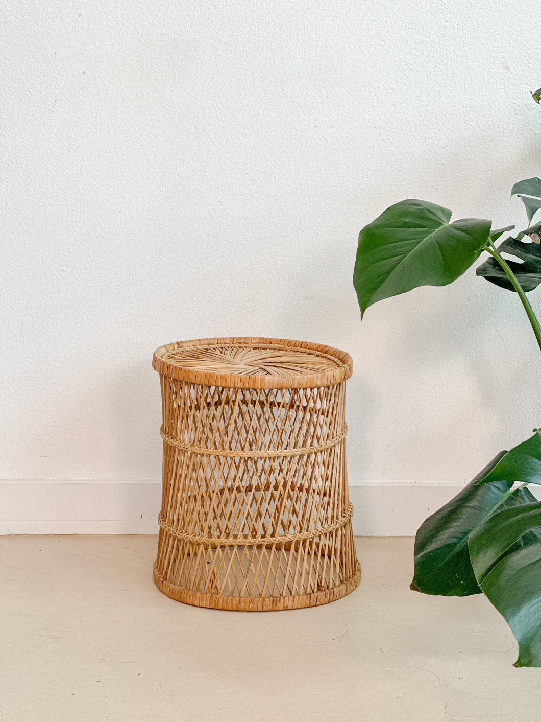Retro Wicker Plant Stand